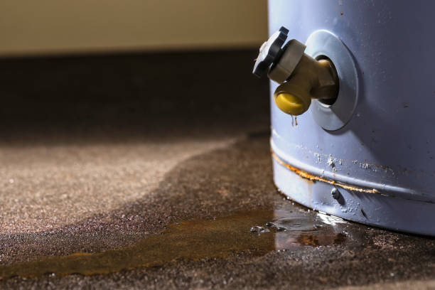 Best Basement water damage restoration  in Lopezville, TX
