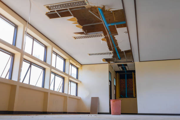 Best Emergency water damage restoration  in Lopezville, TX