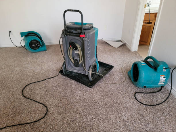 24/7 water damage repair in Lopezville, TX