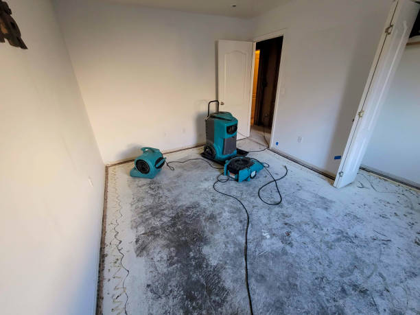 Best Flooded house restoration  in Lopezville, TX