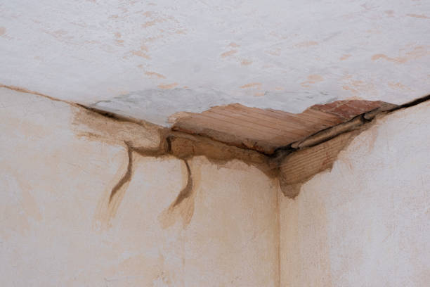  Lopezville, TX Water damage restoration Pros