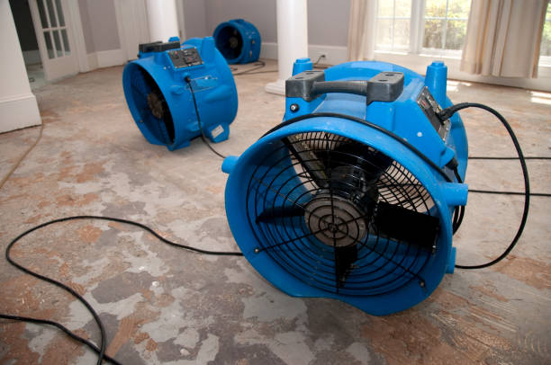 Carpet water damage restoration in Lopezville, TX
