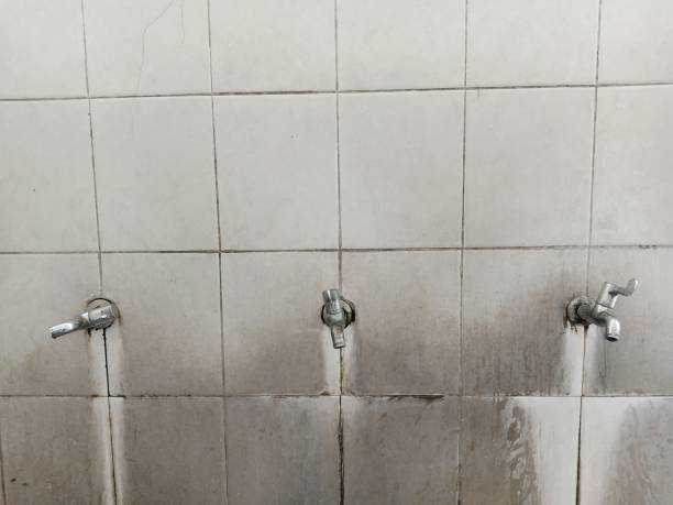 Best Water damage restoration near me  in Lopezville, TX