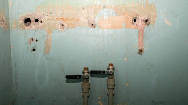 Best Water damage restoration near me  in Lopezville, TX