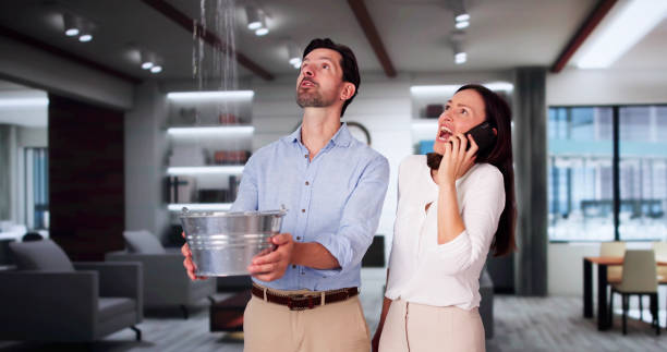 Water damage restoration experts in Lopezville, TX