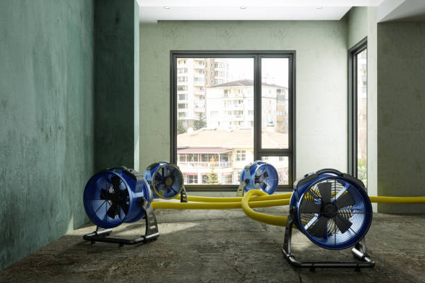 Best 24-hour water damage restoration  in Lopezville, TX