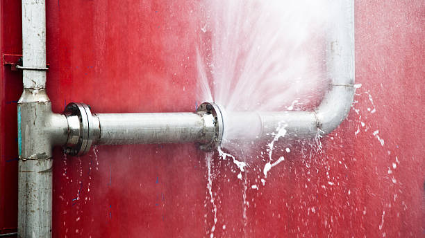 Best Flooded house restoration  in Lopezville, TX